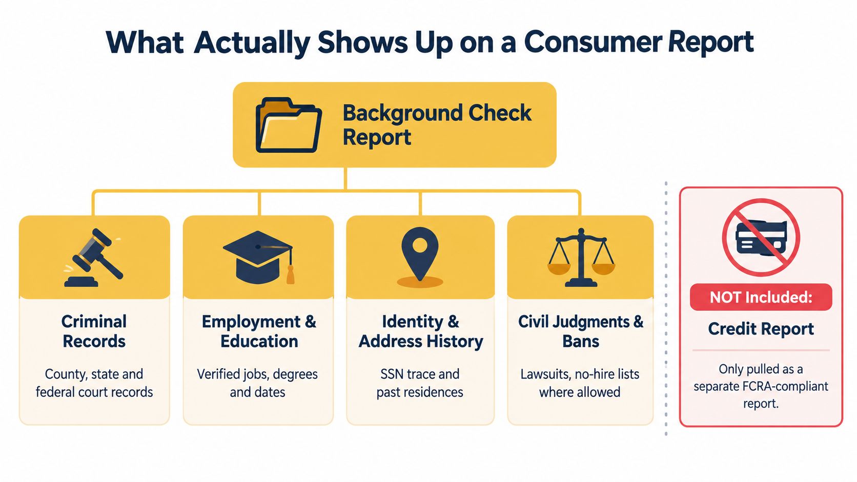An infographic detailing which information is typically included in a background check versus a credit report.